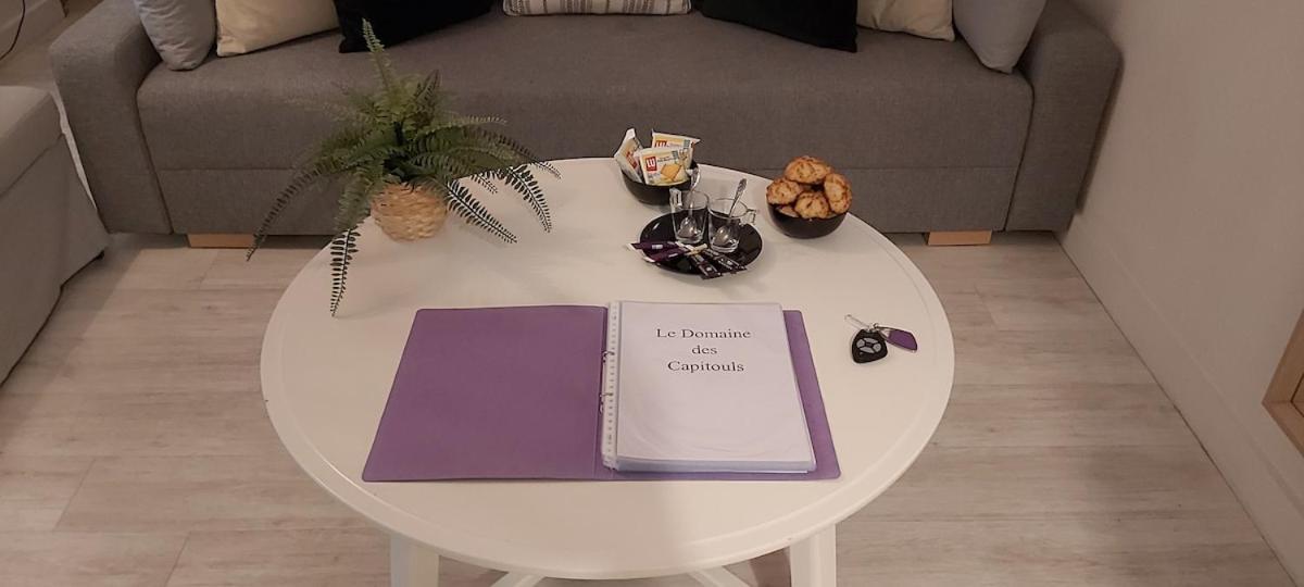 شقة Les Capitouls - Avec Entree Autonome, Clim Neuve, Jardin, Parking Prive & Sa Piscine ! - تولوز المظهر الخارجي الصورة